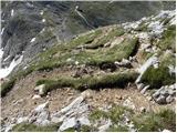 Rifugio Pederü - Croda del Beco / Seekofel